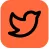social-icon