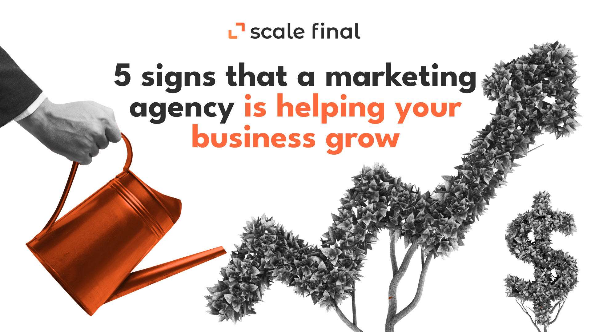 5 signs that a marketing agency is helping your business grow